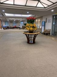 -北京明德医院·医疗美容