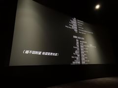 -红星电影世界开元地中海店(RealD杜比全景声)