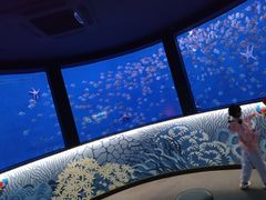 -沈阳海洋探索中心