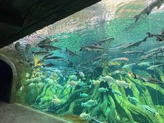 -波塞冬旅游度假区