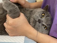 -瑞派康怡24h宠物医院·犬猫医疗中心·微创绝育(瑞景分院)