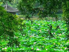 -龙头寺公园