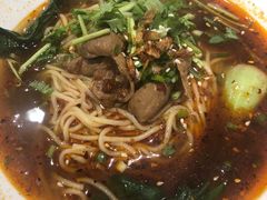 一品麻辣肥肠面-一品小笼(金融街店)