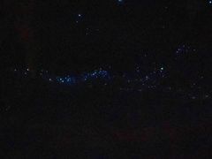 -怀托摩萤火虫洞