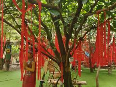 -呀路古热带植物园