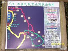 -广州市石门国家森林公园