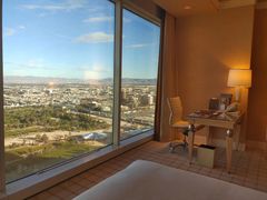 -拉斯维加斯永利酒店