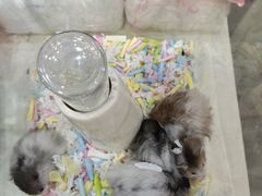 -万达广场(宝山店)