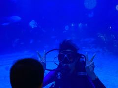 -烟台海昌鲸鲨海洋公园