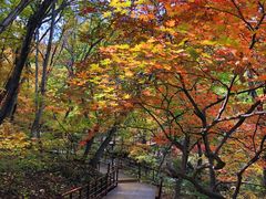 -丹东凤凰山景区