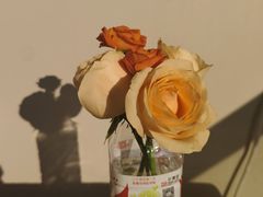 -循礼门鲜花花市(武汉循礼门店)