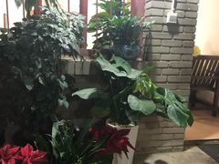 -阿鹏故事云南野生菌火锅(人民路店)