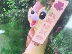 -欢乐松鼠谷