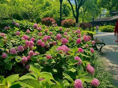 -常州古运河南大街文化旅游区-人民公园