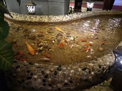 -回忆以前铁锅炖鱼村(一部六号街店)