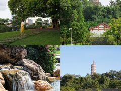 -番禺大夫山森林公园