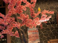 -蓝鲸湾汤泉(包河店)