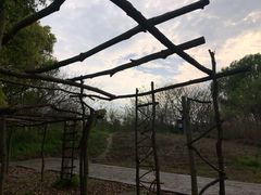 -同里国家湿地公园