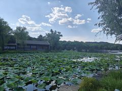 -承德避暑山庄景区