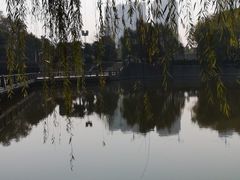 -月湖风景区