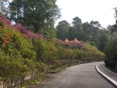 -白云山风景名胜区