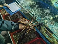 -望海潮海鲜店 特色家常菜(在海一方店)