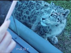 -青藏高原野生动物园