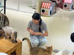 -藏猫猫咖啡主题馆(中央大道店)