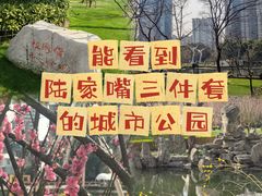 -陆家嘴中心绿地