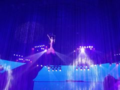 -芜湖新华联大白鲸海洋公园