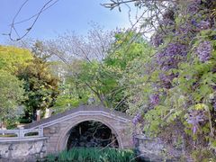 -青果巷历史文化街区