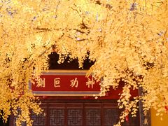 -上海青龙寺