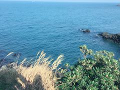 -龙头岩(Dragon Head Rock)