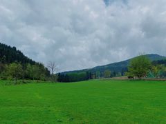 -武陵山森林公园