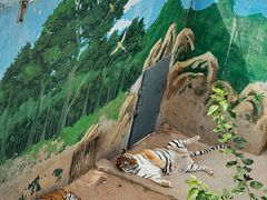 -西霞口神雕山野生动物世界