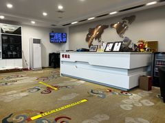 -3M博瑞达龙膜威固BOP保镖汽车贴膜隐形车衣(国贸店)
