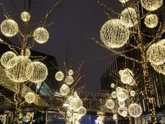 -赵氏盱眙十三香龙虾(蓝村店)