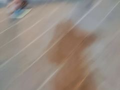 -伟记牛肉(金鸿公路店)