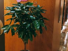 -桃花源中餐厅(金茂豪华精选酒店)