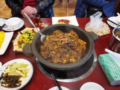 生态甲鱼-火焰金龟甲(汉阳江滩旗舰店)