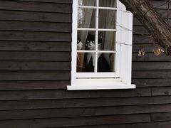 -三鹰之森吉卜力美术馆