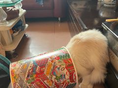 -肯德基(京广桥店)