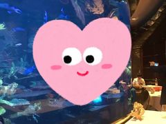 -迪拜帆船酒店海底餐厅