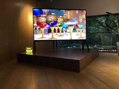 -Sony Store 索尼(上海淮海中路店)