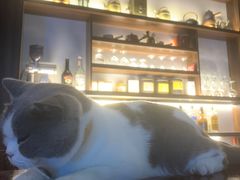-留荫庐旅馆(南浔古镇百间楼店)