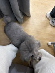 -无漾·美学科技美肤馆