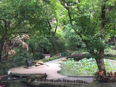-香港大学