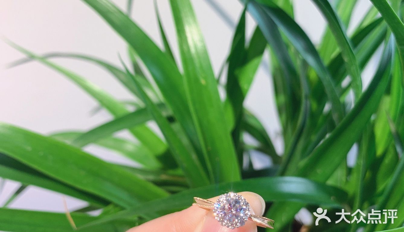 精致玫瑰金婚戒👰🏻少女的祈祷
