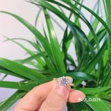 精致玫瑰金婚戒👰🏻少女的祈祷