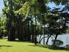 -荔湾湖公园